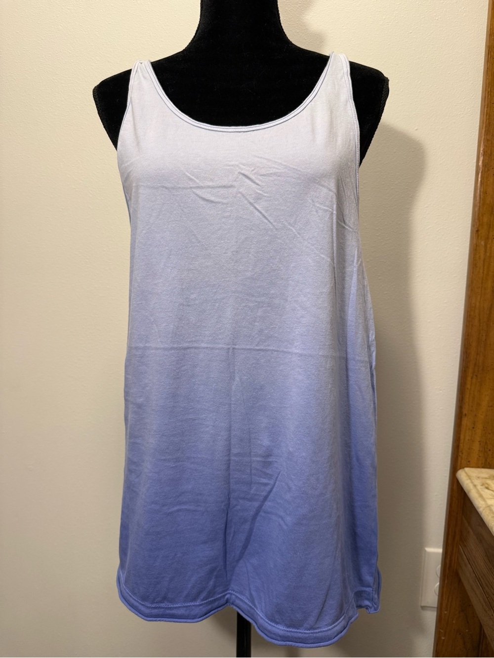 Women’s Ombre Blue Mini Dress